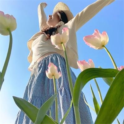 古堡屠龙海报